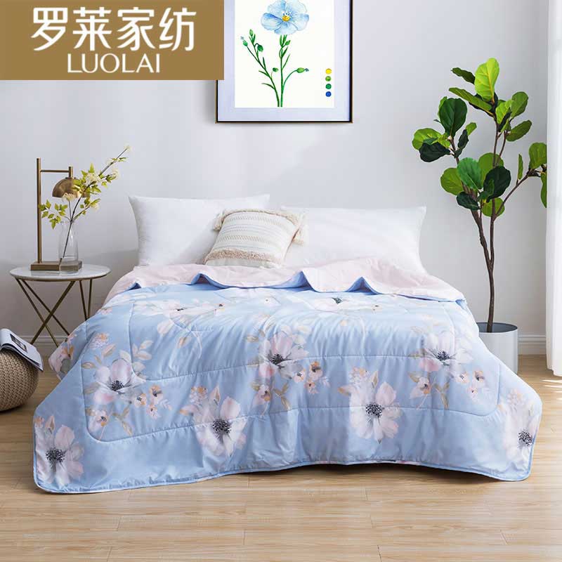 羅萊家(jiā)紡花(huā)語微(wēi)瀾夏可(kě)水(shuǐ)洗夏涼被